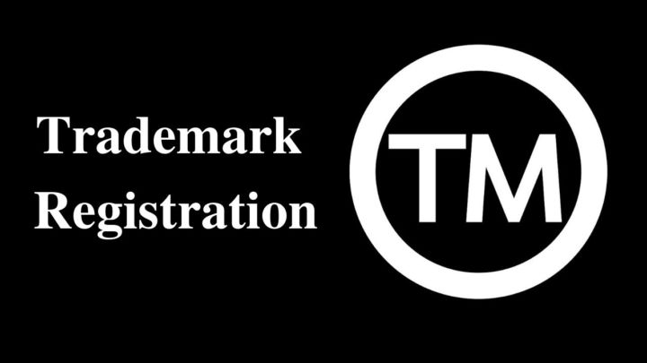 the registrar of trademarks